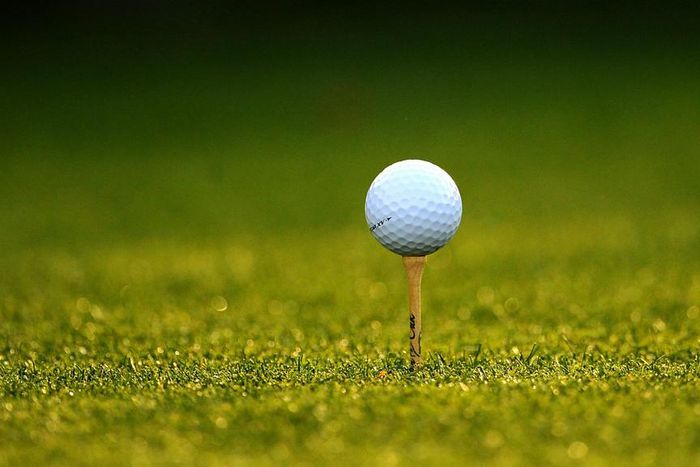 ___3583607___https:______static.pulse.com.gh___webservice___escenic___binary___3583607___2015___3___20___2___golf-cropped_q9fvjgisw2ri1qfrs85k0kvm2