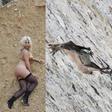 Kim Kardashian's system magazine shoot compared to mountain goat