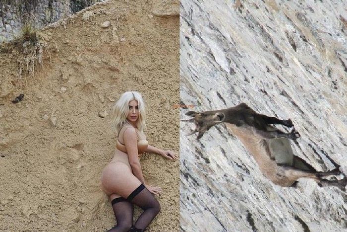 Kim Kardashian's system magazine shoot compared to mountain goat