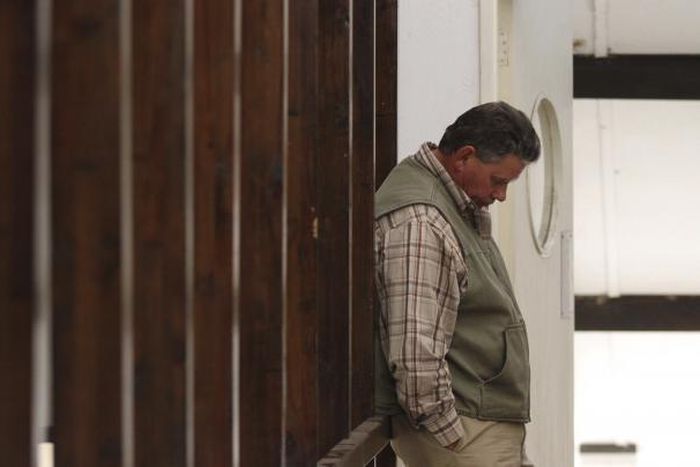 Zimbabwe court postpones trial of Cecil the lion's accused