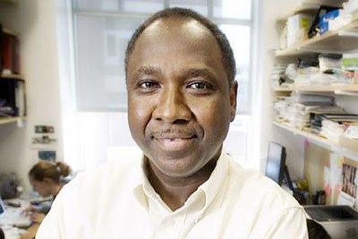 ___3877363___https:______static.pulse.com.gh___webservice___escenic___binary___3877363___2015___6___17___18___Isa-Marte