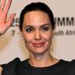 Angelina Jolie at African Union Summit in South Africa