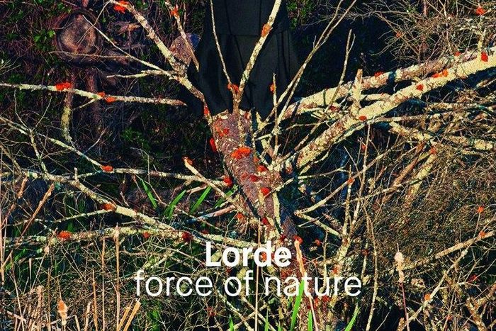 Lorde covers Dazed Magazine Summer 2015 issue