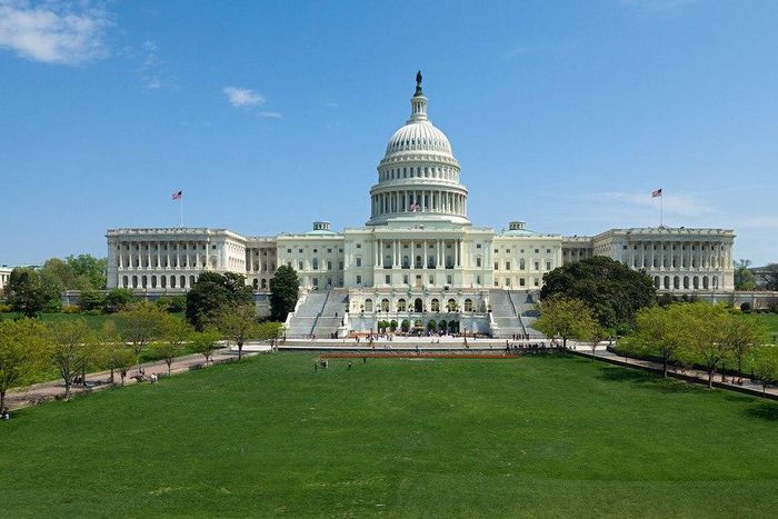 The Capitl Building in Washington DC.