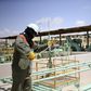 A worker maintains oil pipelines at the Zueitina oil terminal in Zueitina, west of Benghazi, in a file photo. REUTERS/Esam Omran Al-Fetori