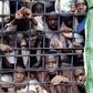 Mahama grants amnesty to 900 prisoners to mark Republic Day