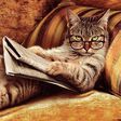 ___2849427___https:______static.pulse.com.gh___webservice___escenic___binary___2849427___2014___5___13___16___cat-reading-the-newspaper