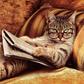 ___2849427___https:______static.pulse.com.gh___webservice___escenic___binary___2849427___2014___5___13___16___cat-reading-the-newspaper