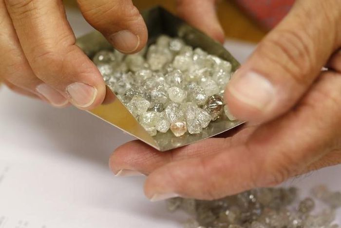 Diamond buyer Elliot Tannenbaum, from the Leo Schachter Diamond Group, holds uncut diamonds from his company's allocation at a sightholders week at De Beers offices in central London August 29, 2013. REUTERS/Olivia Harris