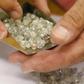 Diamond buyer Elliot Tannenbaum, from the Leo Schachter Diamond Group, holds uncut diamonds from his company's allocation at a sightholders week at De Beers offices in central London August 29, 2013. REUTERS/Olivia Harris