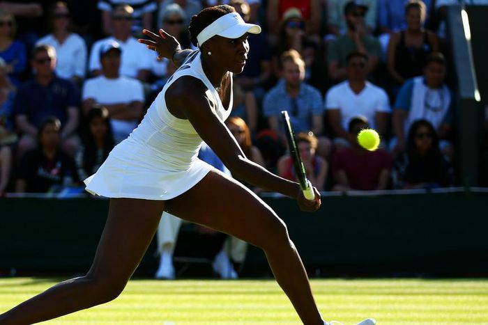 ___3921449___https:______static.pulse.com.gh___webservice___escenic___binary___3921449___2015___6___30___11___venus-williams-cropped_xxa8tudi1am01wr1k4rb1tj1l