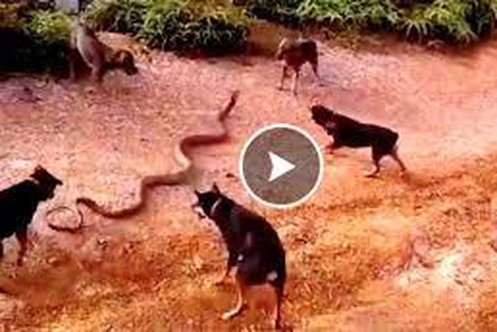 ___3596488___https:______static.pulse.com.gh___webservice___escenic___binary___3596488___2015___3___24___10___imgres