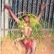 Eyo Effiom the cable thief