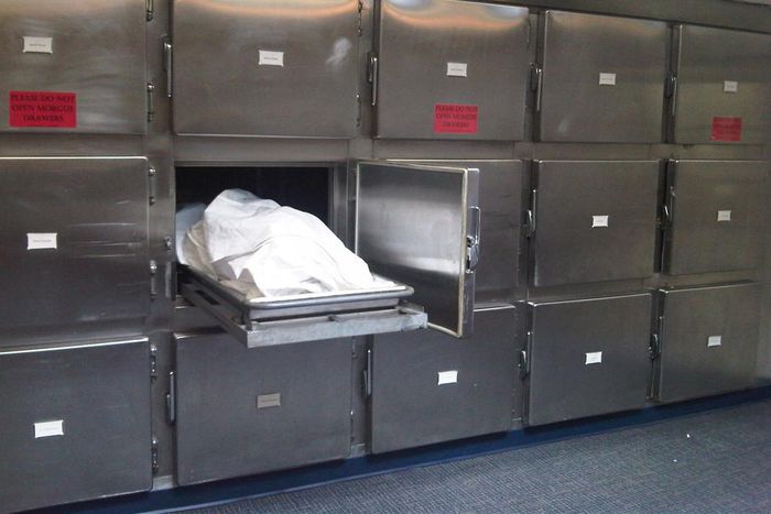 ___3720777___https:______static.pulse.com.gh___webservice___escenic___binary___3720777___2015___5___3___13___Morgue