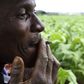 A farm worker smokes at a farm ahead of the tobacco selling season in Harare March 3, 2015. REUTERS/Philimon Bulawayo