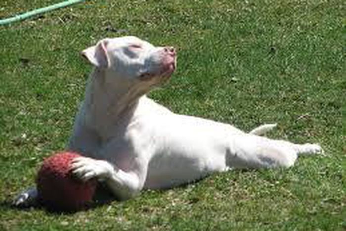 ___3869566___https:______static.pulse.com.gh___webservice___escenic___binary___3869566___2015___6___16___10___images