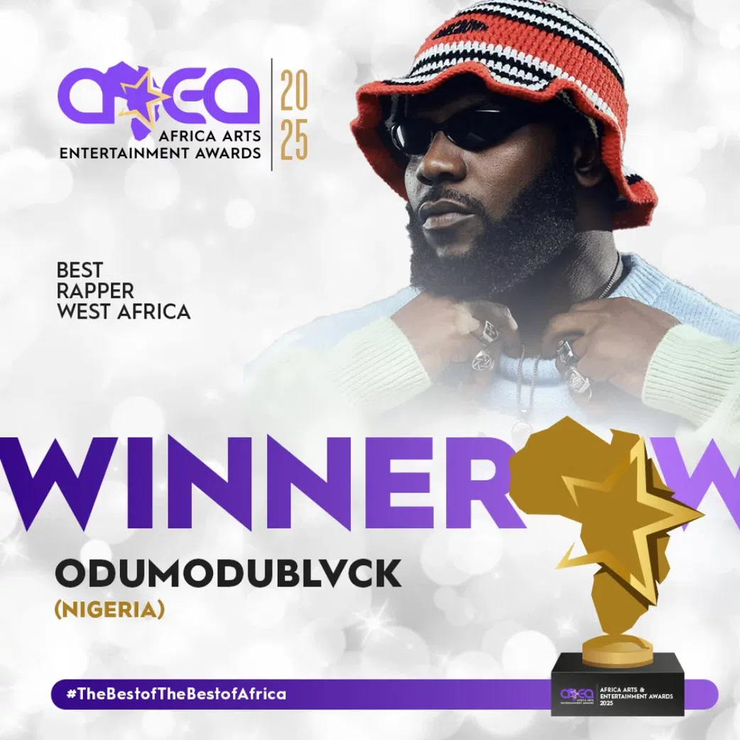 Burna Boy wins Best Overall Male Artist at 2025 AAEA Awards