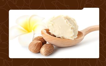 11 Shea Butter Mixes for Soft, Healthy Skin