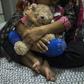 Thai authorities have signed an MoU to end the detention of all child refugees and asylum seekers