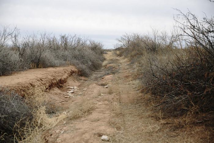 The Trek Across the Border Veers Into More and More Remote Terrain