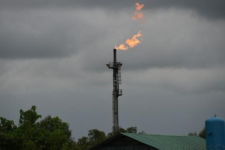 The Niger Delta Avengers have carried out dozens of attacks on oil infrastructure in Nigeria's south