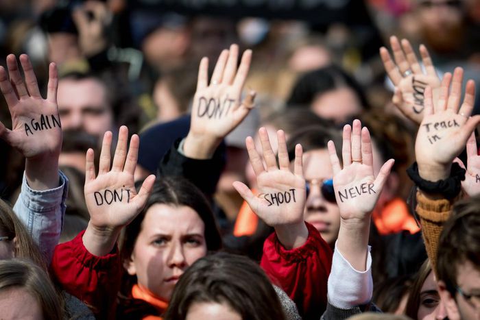 How Parkland Was Different, and Why Much Remains the Same