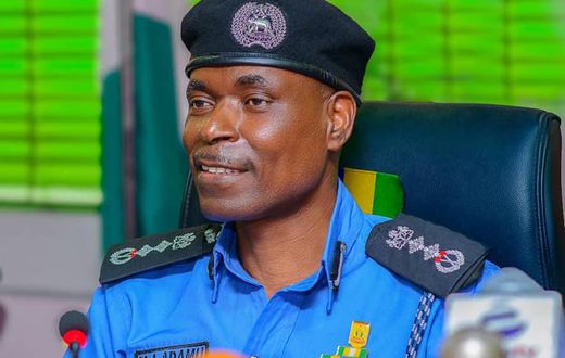The Inspector-General of Police, Mohammed Adamu
