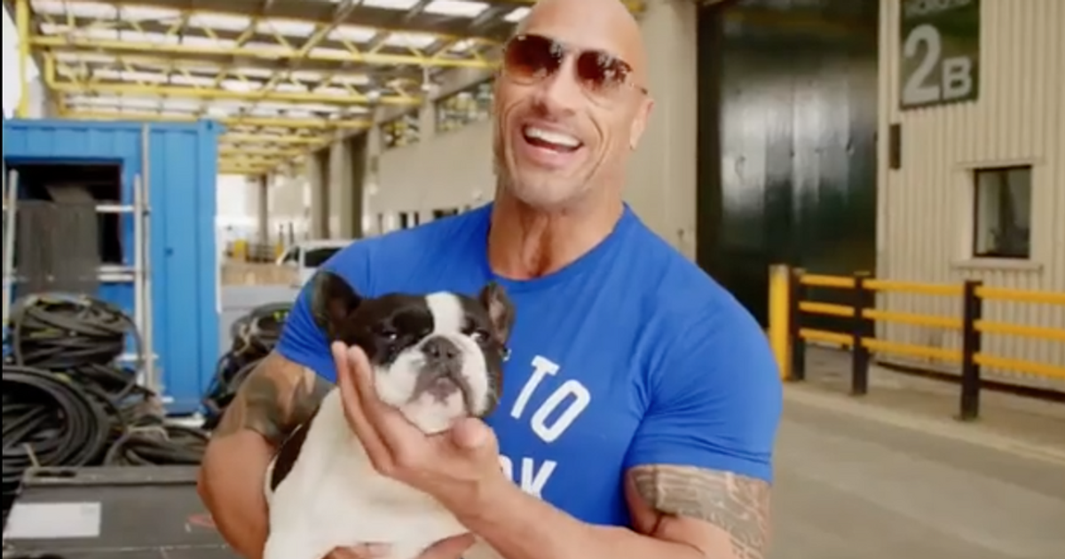 The Rock's Dog Just Might Be the Biggest Star of Hobbs & Shaw | Pulse ...