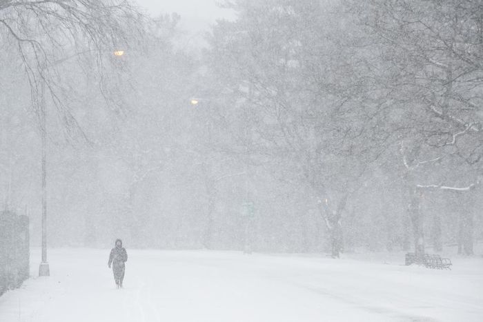 Brace for the Polar Vortex: It May Be Visiting More Often