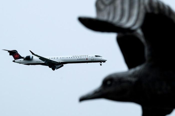 A partial Washington shutdown started on December 22, 2018, which included the closure of the US Census Bureau, has halted the sharing of economic data with Canada