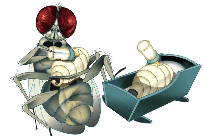 Everywhere in the Animal Kingdom, Followers of the Milky Way