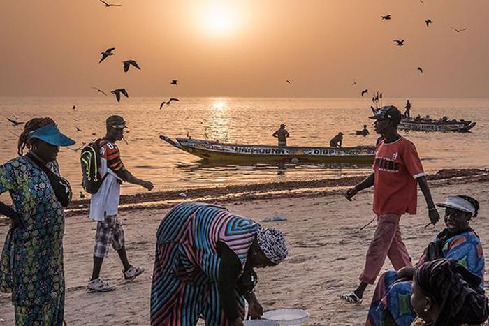 A boy was reportedly submerged in a river before a motorcyclist came to rescue him. This was after some firefighters had tried. [The New York Times]