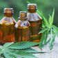 Here are 5 surprising health benefits of Cannabis oil