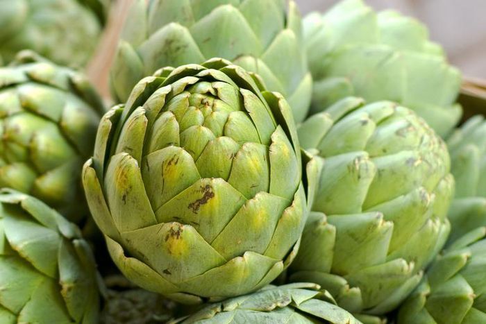 Are Artichokes Legit Healthy?