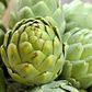 Are Artichokes Legit Healthy?