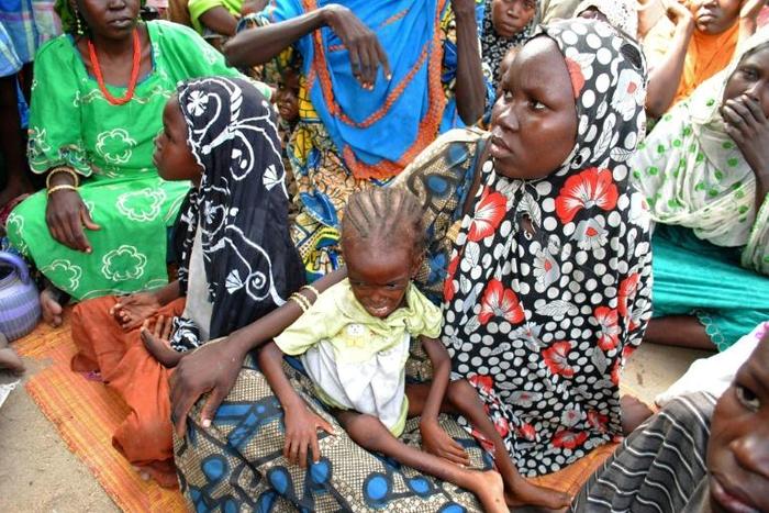 Boko Haram's bloody insurgency has left around 1.8 million people homeless and in need of aid