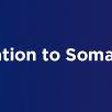EU Delegation to Somalia