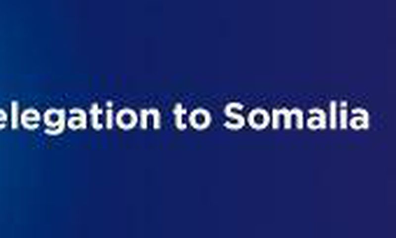 EU Delegation to Somalia