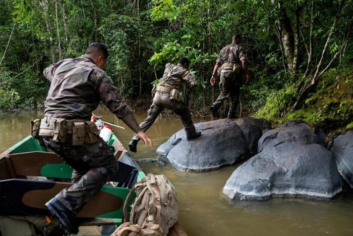 The French military help patrol French Guiana's jungle to drive out illegal gold prospecting