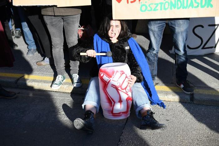 The government, which has accused the body of "engaging in politics," has already slashed some of the Hungarian Academy of Sciences' funding