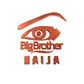 Big Brother Naija