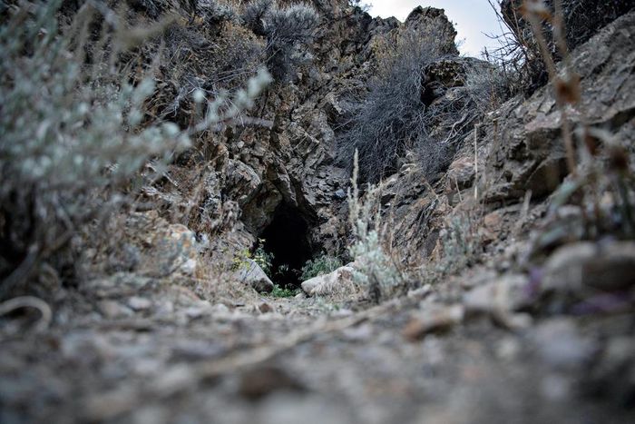 Saving the Bats, One Cave at a Time