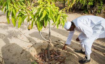NGOs commend Buhari’s strides in agriculture