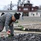 A former prioner lays flowers at the Buchenwald Nazi concentration camp in Weimar, eastern Germany, whose foundation is now protesting plans to turn an annex at the site into a sausage museum