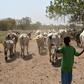 Dozens of people died in clashes between crop growers and nomadic herders over land access