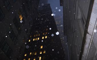 Where's the Snow? In New York City, Winter Doesn't Seem Like Its Usual Self