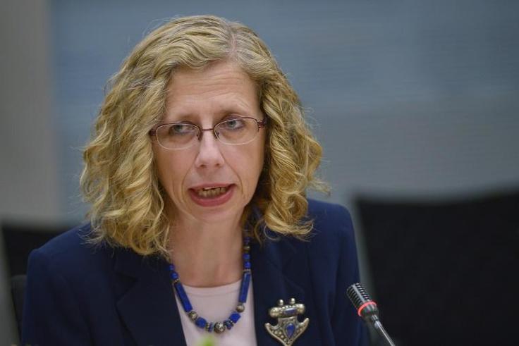 Inger Andersen, who heads the International Union for Conservation of Nature (IUCN), is set to succeed Erik Solheim of Norway, who resigned in November amid an outcry over his huge travel expenses
