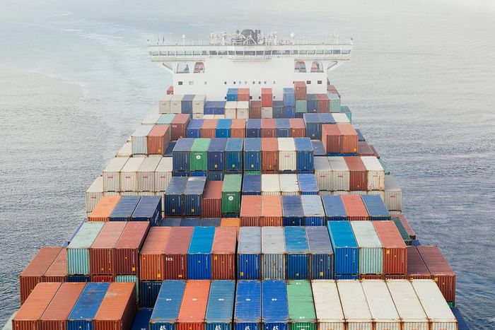 Oceans are getting louder, posing potential threats to marine life