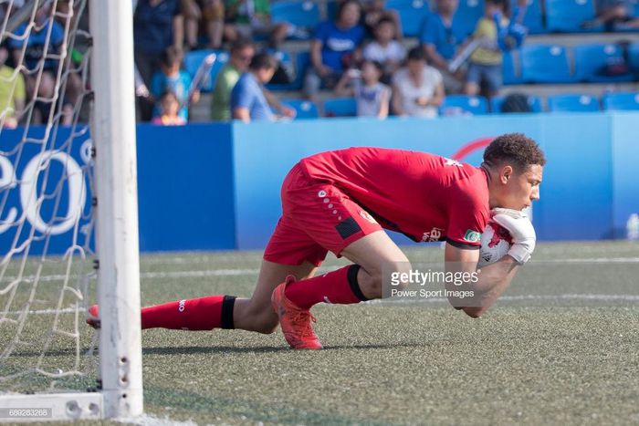 Maduka Okoye [Power Sport Images Getty Images]
