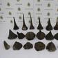 An environmental group in Hong Kong said the 40 kilograms of rhino horn was a major bust